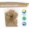 Dry lotus stamens Dried lotus stamens, size 500 grams / "Want to invest in health Think of Tha Prachan Herbs "
