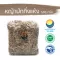 Beijing grass, 500 grams / "Want to invest in health Think of Tha Prachan Herbs "