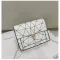 Women Oulder Bags MMER NEW ORAN Version of the Mesger Bag Handbag Chain Wild Crac Printing Wild Oulder Bag