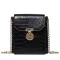 Luxury Designer Women's Mesger Bag Crocodile Pattern Loc Portable Chain Bag New Product One-Derlder Mobile Phone Bag