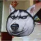 M431 Cute Anim Print Cat Dod Rabbit Panda Hasy Bulldog Soft Mesger Bags Oulder Bag Girl