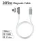 Magnetic USB C Cable 20Pins Typec Connector PD 100W Fast Charging 10P/S Converter for iPad Macbo Pro Air M1 M1 Mi Switch