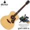 Mantic GT-10G, 41 inch GRAND AUDITORIUM shape, tops, tops, rosewood/cherry wood + free bags & kapat & pickings & wipes