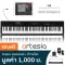 Artesia Performer Piano Fah Piano Digital 88 Key per computer/iPad + Free Note Stand & Pedal & Adapter ** Zero Insurance