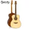 Baracuda OM-200, 41 inch acoustic guitar OM, Annes Pruz /Mahogany wood Nickel silver knob