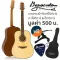 Baracuda D-200, 41 inch acoustic guitar /Mahogany wood Nickel silver knob + with free gift