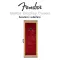 Fender® Guitar Display Case Hanging Guitar Guitar show case Guitar showcase For electric guitar The interior is lined with a strong velvet fabric.