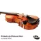 KNA Pickup Violin Pickup Viola Next to the bridge The Ebo is authentic, VV-3 + free jack. ** Made in Bulgaria ** Deluxe Portable Piezo Pick