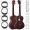 COCO Ukulele Size Tenor Model Model UK262A Tenor Ukulele ** Using Aquila **