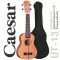 Caesar UT-13 Soprano Ukulele Ukulele Size Soprano 21 inch Spen Wooden Wooden Wooden Spa + Free Ukulele Bag