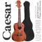 Caesar U243 Concert Ukulele Ukulele Size 24 inch SAPELE SAPELE Cute Striped Steam + Free Ukulele Bag