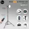 LED high power Pixel Fodavilt C220