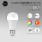 LED EAKER RGB SL02 lamp