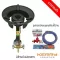 Lucky Flame, high -pressure stove, KB5, Lucky Fleme brand With complete set of equipment