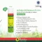 Eucalyptus oil spray Mixing SCTONELL BOSISTO SIS TONG SON 75 ml.