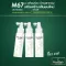 [2 Get 1] Havilla M67 Hair Tonic Rubbed Length 100ml x 2 bottles, free hair tonic, accelerating 100ml hair, 1 bottle