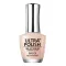 Bandi Ultra Polish Up612