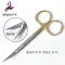 9.5cm Gold Handle Stainless Steel Scissors Strait PNED CUTED CURVED RGIC TURE SCISSSSERS DOUBLE EYELID Scissors