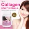 Marine Collagen x 1 bottle of collagen peptide, Inu Collagen Peptide Tablets Inuvic, collagen