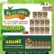 11 boxes, 1 box, 6 sachets, Charnn Plants Based Protein Matcha, world -class plants, Clean, concentrated formula from genuine matcha.