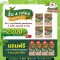 4 boxes, plus 4 sachets. Charnn Plant Based Protein Matcha, world -class plastic protein, clean flavor formula from authentic matcha.