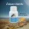 Fishoil Giffarine Fish Oil contains Omega 3 and DHA EPA nourishing the brain.