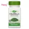 Nature's Way Chlorella Micro-Algae 1,230 mg 100 Vegan Capsules. Helps to reduce cholesterol, 100 Vgan capsule