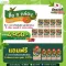 9 กล่อง แถม 1 กล่อง 4 ซอง Charnn  Plant based Protein Matcha โปรตีนพืช มาตรฐานระดับโลก สูตรคลีน  รสเข้มข้นจากมัทฉะแท้