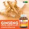โสมเกาหลี ไบโอแคป สารสกัดจากโสมเกาหลี Korean Ginseng Extract Biocap โสม โสมเกาหลีแท้
