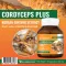 ถั่งเช่า ผสม สารสกัดจากโสมเกาหลี x 1 ขวด โมริคามิ Cordyceps Plus Korean Ginseng Extract Morikami