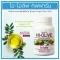 Highovi Giffarine Giffarine Hi-LOVE Giffarine Olives, concentrated formula with 6 mg of hydroxyl, 30 mg 30 capsules.