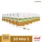NARAH KRACHAI EX นราห์ กระชาย เอกซ์ กระชายขาวสกัด สูตรเข้มข้น ขนาด 30 แคปซูล โปร 10 ฟรี 1 ขวด