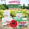 Genuine collagen nourishes the skin, nourishes bones, reducing hair, pure collagen + Wildrose, insulin drinks mixed with peach mixed with mixed berries, vitamin 4, free 3 delivery.