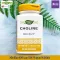 โคลีน Choline 500 mg 100 Vegan Tablets Nature's Way®