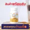 กระชายขาว เสริมภูมิคุ้มกัน กระชายสกัด ชนิดแคปซูล สมุนไพร บำรุงหัวใจ สมอง กระดูก ภูมิคุ้มกัน ปรับสมดุล ลดความดันโลหิต