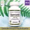 เควอซิทิน ระบบภูมิคุ้มกัน สุขภาพ Quercetin 500 mg 30 Veggie Capsules California Gold Nutrition®