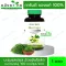 Herbal One Moringa Moringa Capsules Prevents diabetes, reducing the bottom of the beriberi 100 capsule