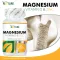 Magnesium vitamin D sync x 1 bottle of Magnesium Vitamin D Zinc the Nature, 30 capsules per bottle.