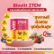 Biovitt Ztem, radiant stem cell supplement, aging, reinforcement, immune, skin care, balance, 0% sugar, 120g.