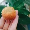 Banana cakes fit, no minimum order