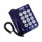 โทรศัพท์ สีน้ำเงิน รีช DT-200