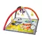 Infantino Play Gym Square Fox