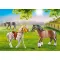 Playmobil 70683 Pony Farm Pony Set โพนีฟาร์ม เซ็ตโพนี่ 3 ตัว