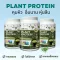 3 vertech nutrition plants Plant Protein Superfoods & Greens, Vigan, vegetables, fruits, fiber, weight loss