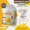 Protein PLANT Formula 1, Banda flavor, banana, 900 grams/protein, protein, plastic protein, plants from rice, peas, potatoes, free GMO.