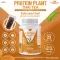 Protein PLANT Plant protein 2 flavors, Thai tea, protein from 5 plants, Oregine, free, free pearl, 23 pieces, 1 bottle of 920 grams.