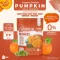 Pumpkin Seed Powder, 100% protein powder from pumpkin seeds, volume 1,000 grams/bag 1 kg.