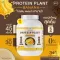 Protein PLANT Plant protein formula 1 flavor, banana, protein from 3 types of plants, Orange, peas and potatoes, 1 bottle of 2.27 kg.