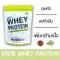 MS เวย์โปรตีน นม  WHEY PROTEIN แท้ USA  ขนาด 2 LB ลดไขมัน เพิ่มกล้ามเนื้อ  คุมน้ำหนัก หิว ธรรมชาติ ไม่ใช่soyถั่วเหลือง