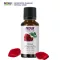 Now Foods Essential Rose Absolute Oil Blend 30 ml 5% Oil Blend, Rose Solo Essential Oil